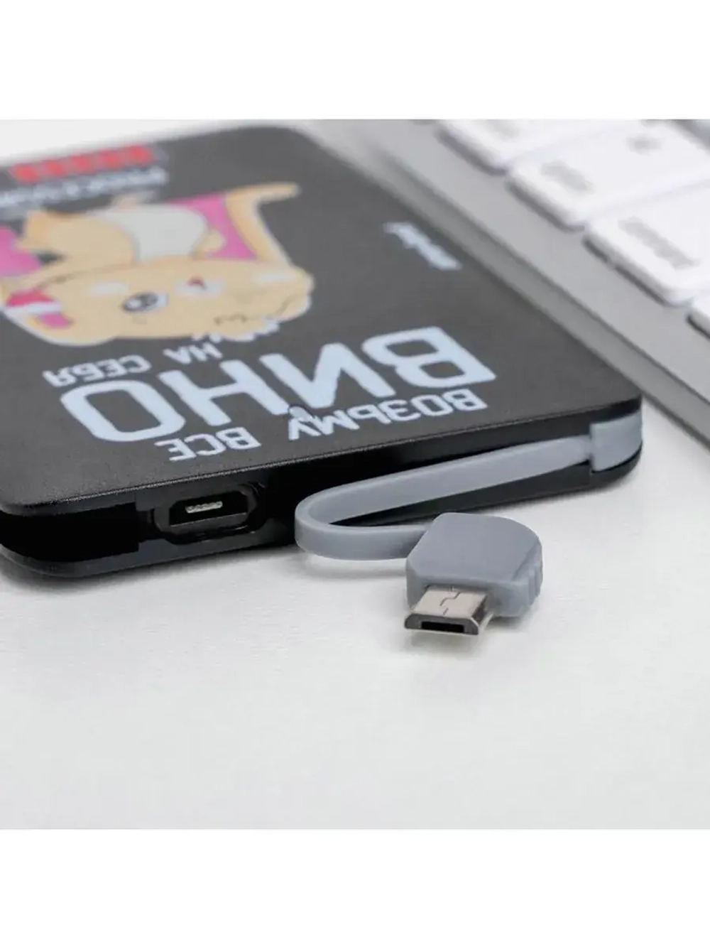 Зарядное устройство «Возьму все вино на себя», 2500 mAh, 6 х
