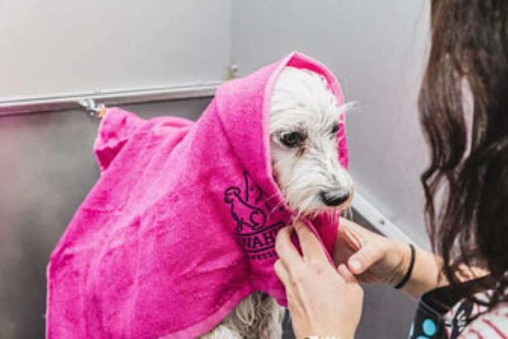 Полотенце для животных Wahl (0093-5980) - 2