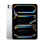 Apple iPad Pro 11 (2024) 2Tb Wi-Fi with Standard glass (Silver)