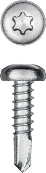 KRAFTOOL DS-P, 13 х 4.2 мм, А2, сверло, полукруглая головка, ТХ20, 600 шт, саморез нержавеющий (300931-42-013)