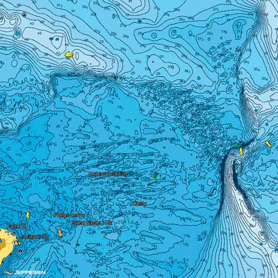 C-MAP 4D для Raymarine Владивосток, Залив Петра Великого, Японское море карта глубин RS-D009