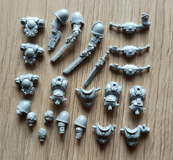 Primaris Outriders