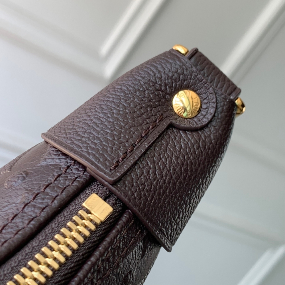 Louis Vuitton Loop Hobo Bag