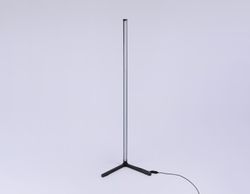 Ambrella Светильник светодиодный напольный RGB с пультом LineTech FL8022