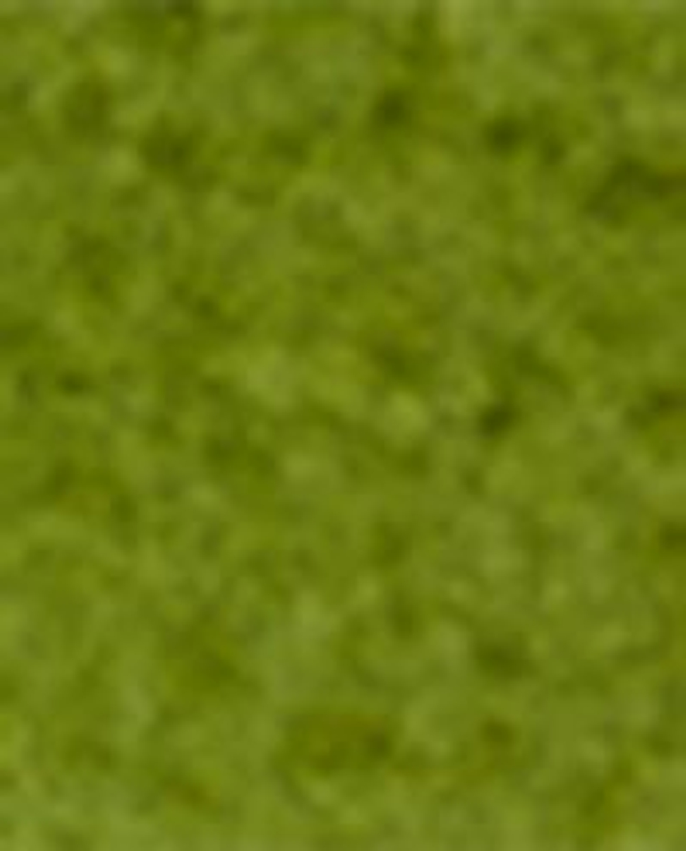 Zara Home Свеча ароматическая LIME & PEPPERMINT 155 г, растительный воск, аромат цитрусово-мятный свежий