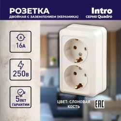 Розетка Intro Quadro 2-204-02 с заземлением двойная 2х2P+E Schuko 16А-250В IP20 открытой установки слоновая кость