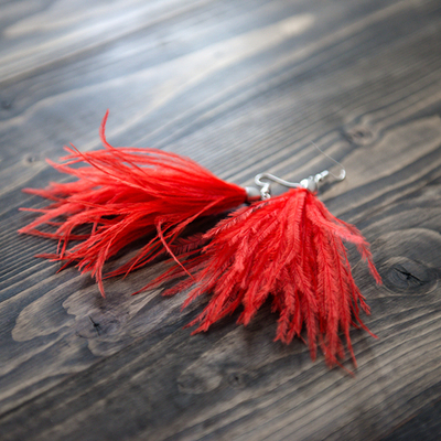 ASS 07-04-01 | Серьги для бальных танцев с перьями