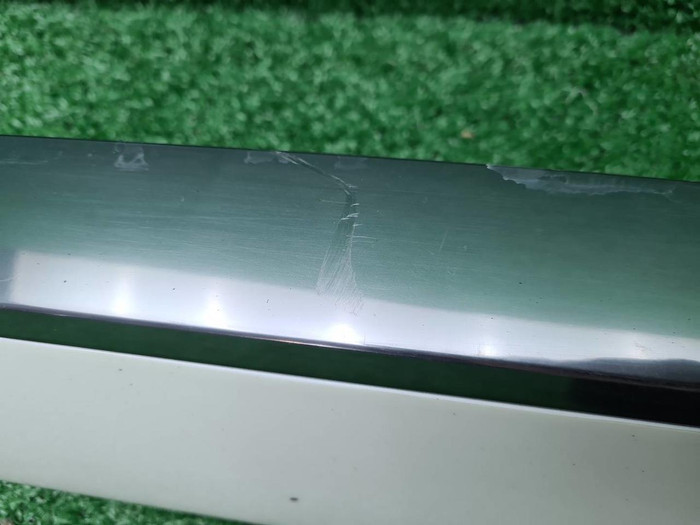 Накладка двери задняя левая Hyundai Palisade 22-нв