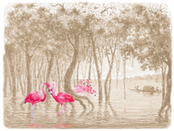 Коллекция Paradise