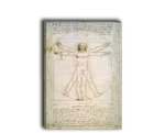 Картина для интерьера "Витрувианский человек" Леонардо да Винчи Настене.рф