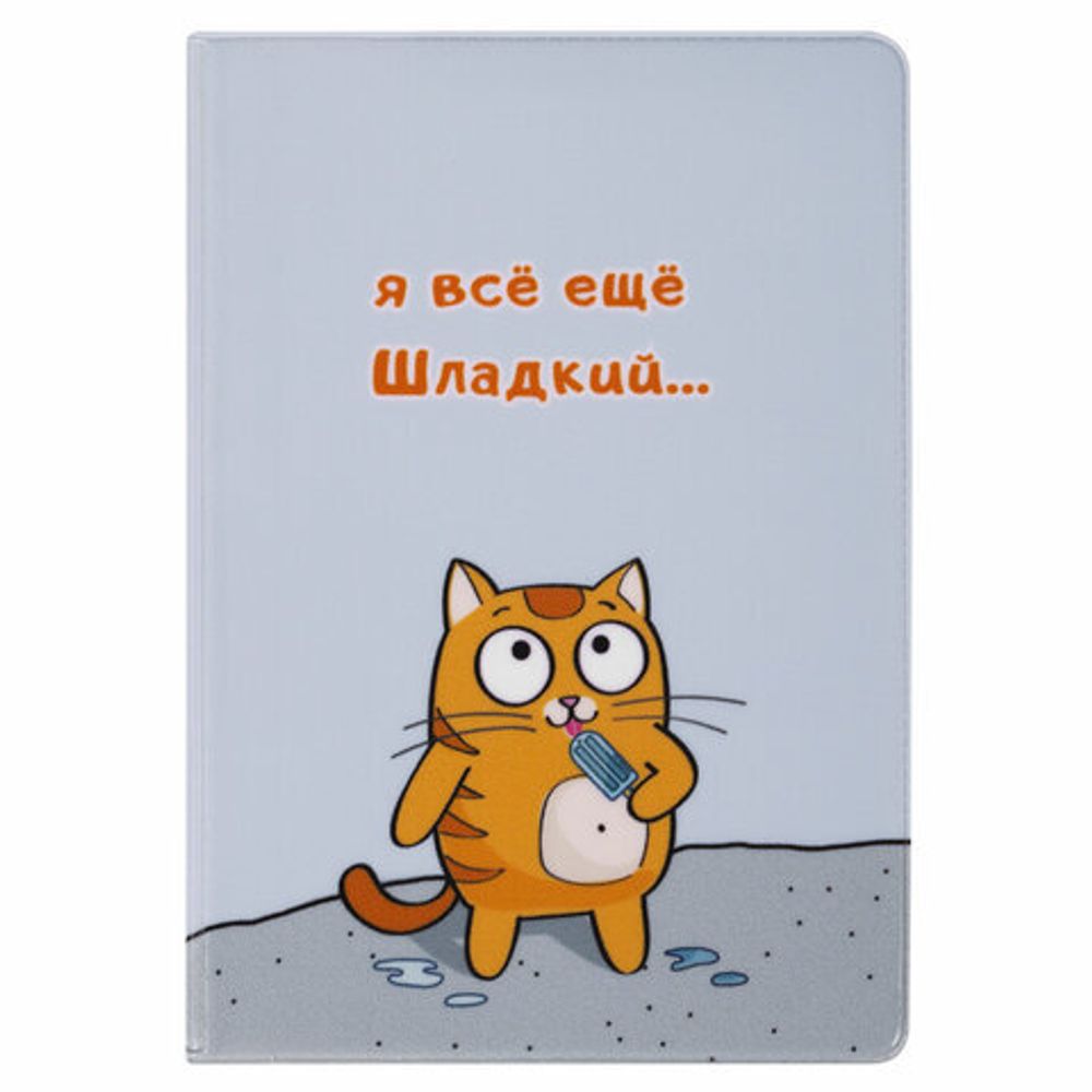 Обложка для паспорта "Cool Mix", два кармана, 10 дизайнов ассорти, цветной принт, ПВХ, STAFF, 238340