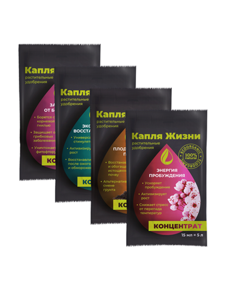 Здоровая рассада