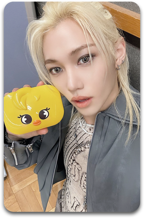 Карта / STRAY KIDS #2245