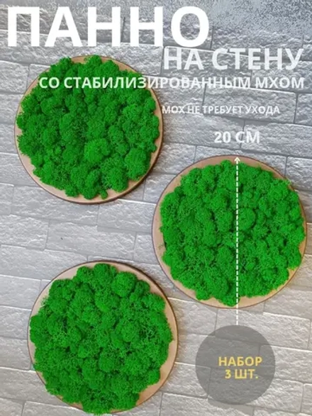 Круглое панно на стену из мха набор ОРЕХ 20 см. 3 шт.