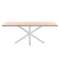 Стол Arya деревянный с белыми стальными ножками 200x100