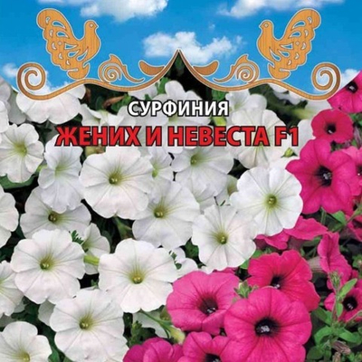 Сурфиния Жених и невеста F1