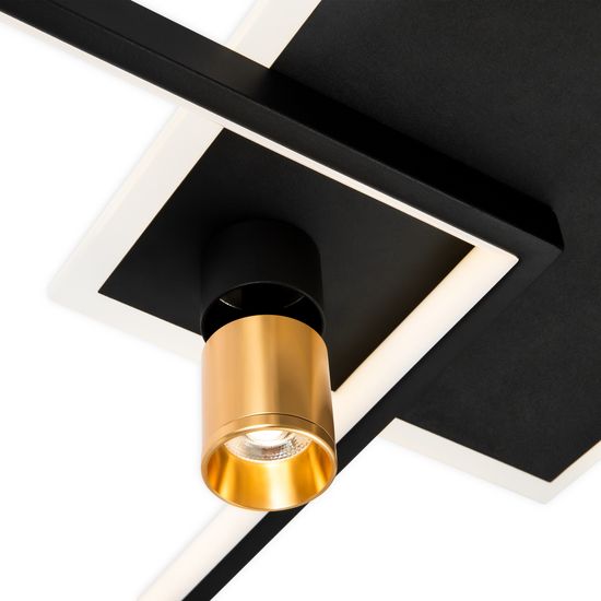 Потолочный светильник Freya FR6042CL-L76BBS