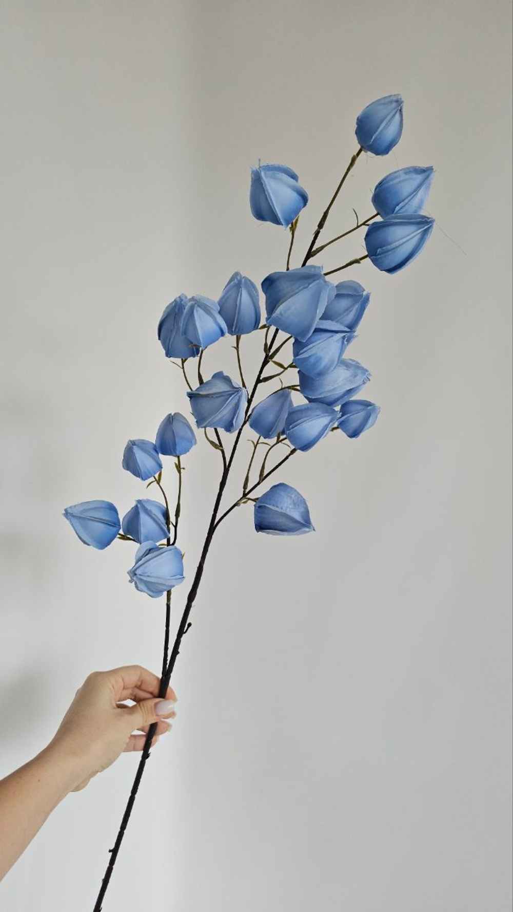 Физалис / Арт 2367