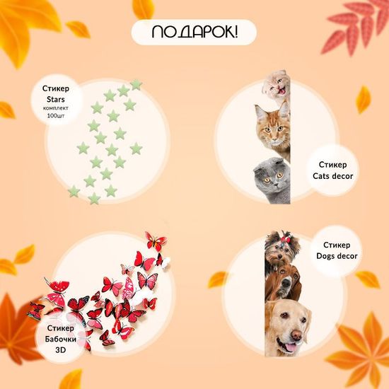 Золотая пора