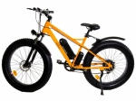 Электрофэтбайк E-motions Challenger Fat Premium