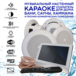 Комплект домашней акустической системы с караоке-усилителем Steam & Water SOUND 4 Standart