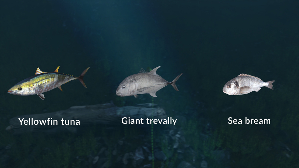 Ultimate Fishing Simulator - New Fish Species (для ПК, цифровой код доступа)