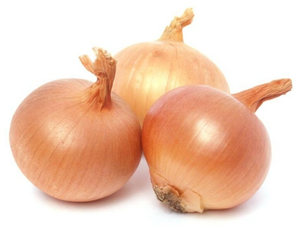 Лук