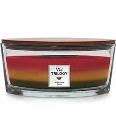 У очага, ароматическая свеча эллипс, WoodWick