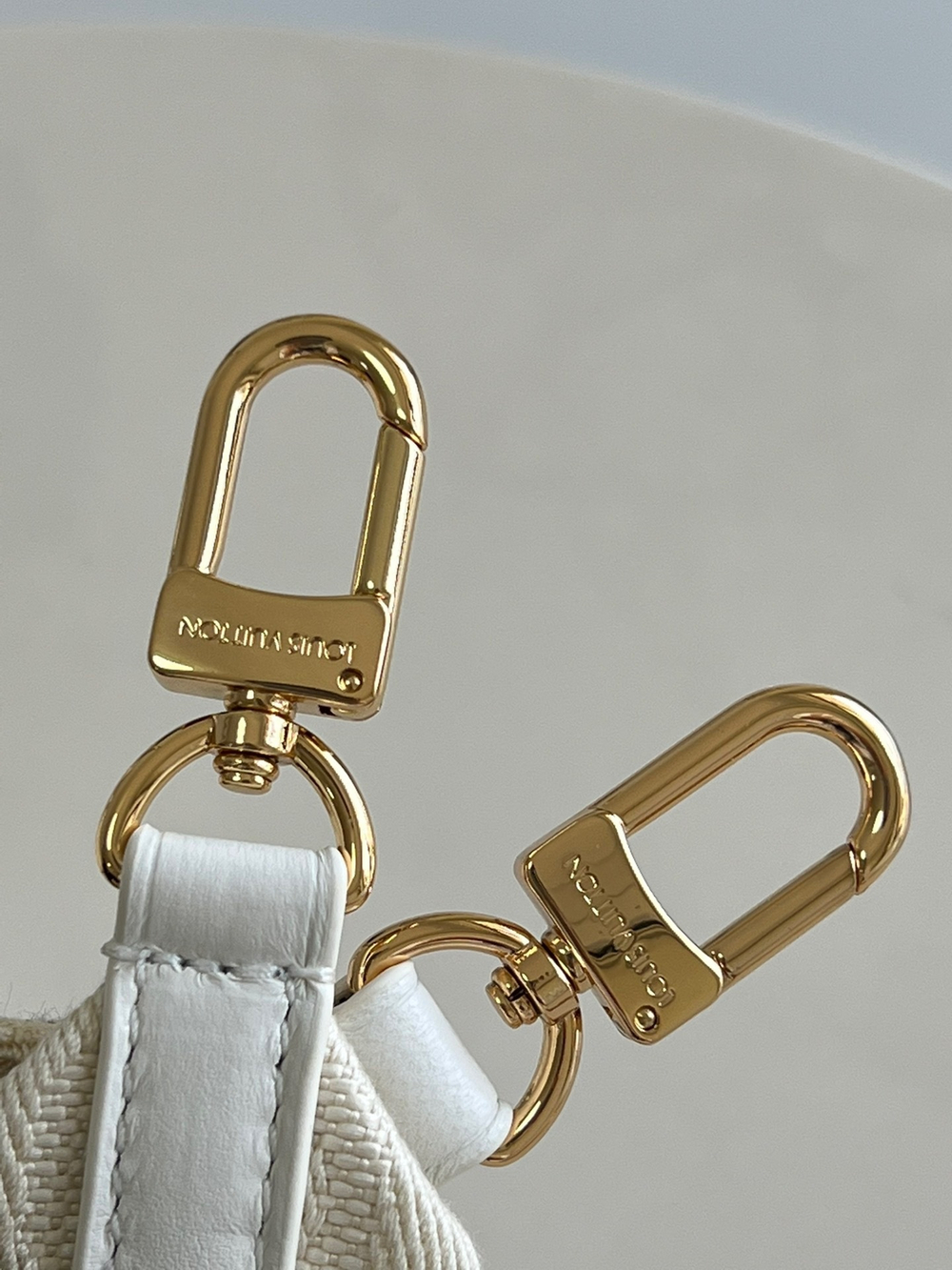 Louis Vuitton Coussin PM