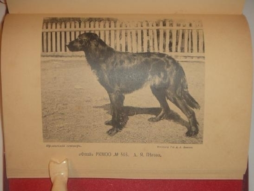 "Родословная книга охотничьих собак. В пяти томах"