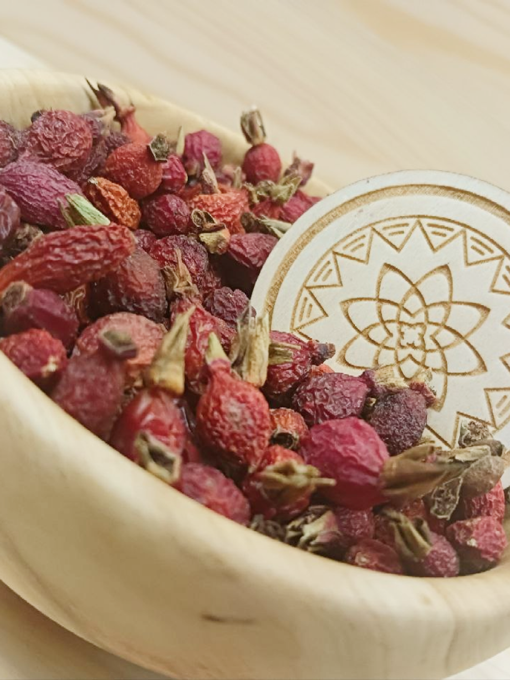 Шиповник Алтайский "Лесной"