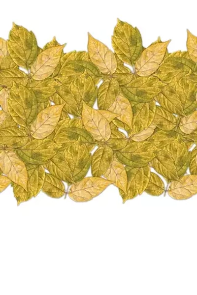 Цифровое панно ID Wall FOLIAGE WHITE