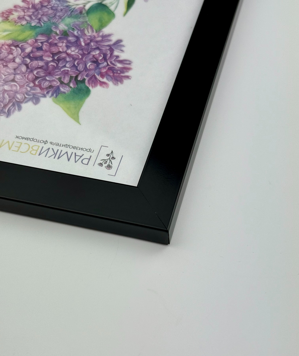 Фоторамка 21х30 см черная, без фактуры, арт. 2130.752229