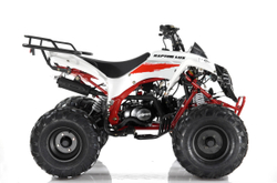 MOTAX ATV Raptor LUX 125 сс 4T Белый/красный
