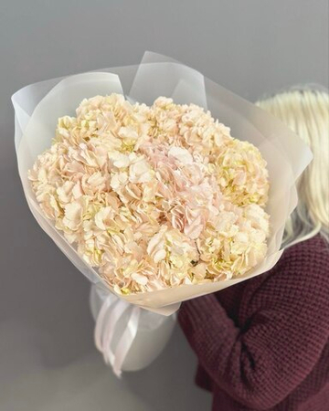 Букет с 7 розовыми гортензиями