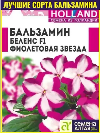 Семена Бальзамин Беленс Фиолетовая звезда