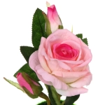 Цветочная композиция «Розовый восторг» 22см в горшке, цвет розовый