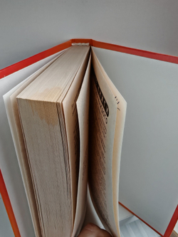 Амазонка: Семь кругов ада