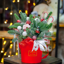 Новогодняя композиция в красном оформлении с нобилисом