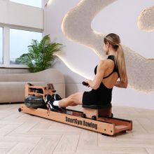 Гребной тренажер DFC SmartGym WR-02