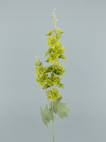 Дельфиниум Эстер