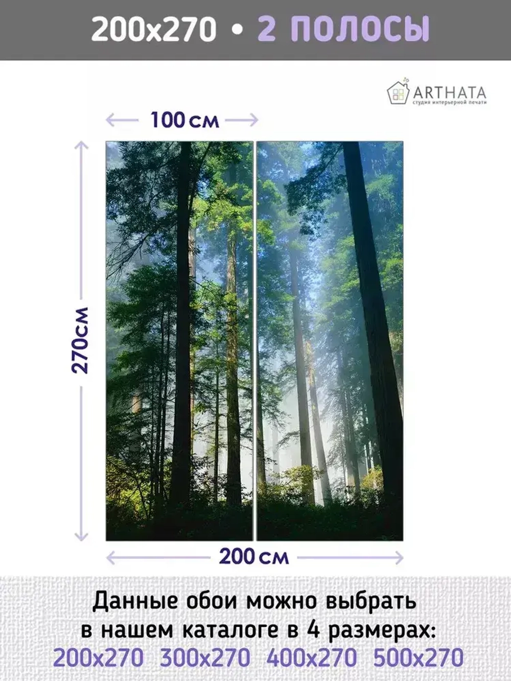 Фотообои сосновый лес в солнечных лучах на кухню 200х270