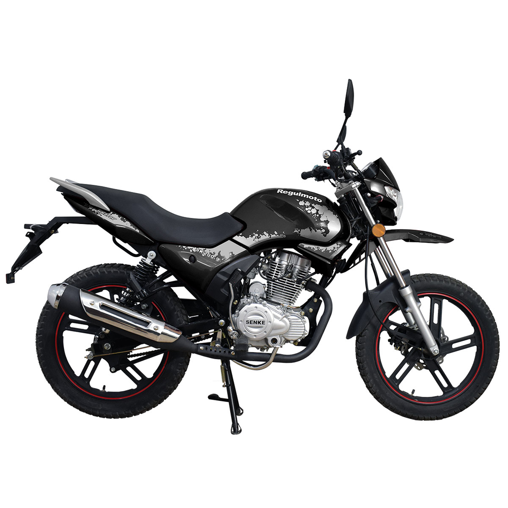 Мотоцикл Regulmoto SK200-9 (2)