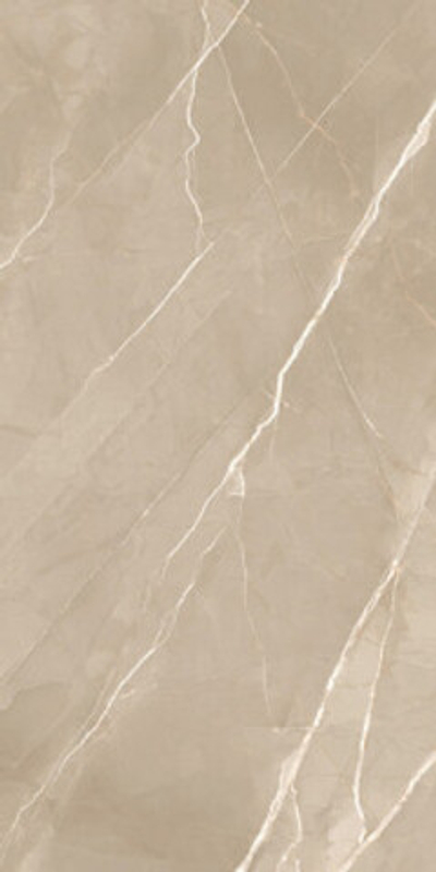 Керамогранит Essential Marron полированный (60120ESE21P)