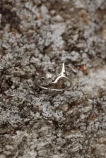 Кольцо Байкал с фианитом