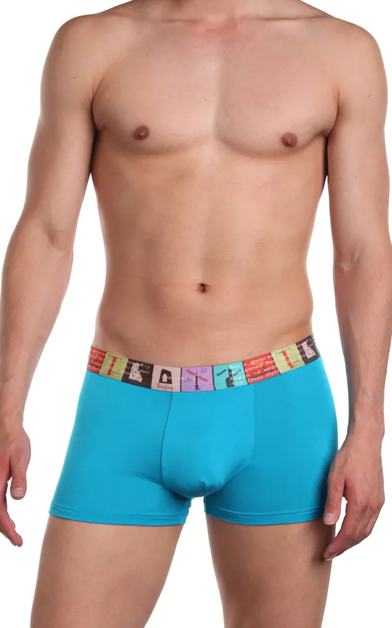 Мужские трусы 8023-3