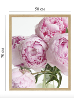 Набор постеров 50х70 яркие пионы 3 шт арт 156296734 ТТН 246259262