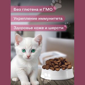 Сухой корм Fealdon Kitten Super Premium для котят, с лососем и рисом