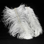 Подвесной светильник Lussole CUSCINO LSP-8601