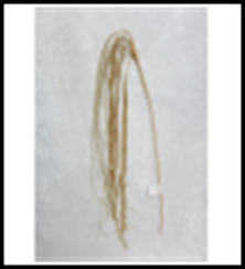 Ветвь из бисера Хвост Андромеды 64 см., золото, 1 шт., Christmas DeLuxe (89065)